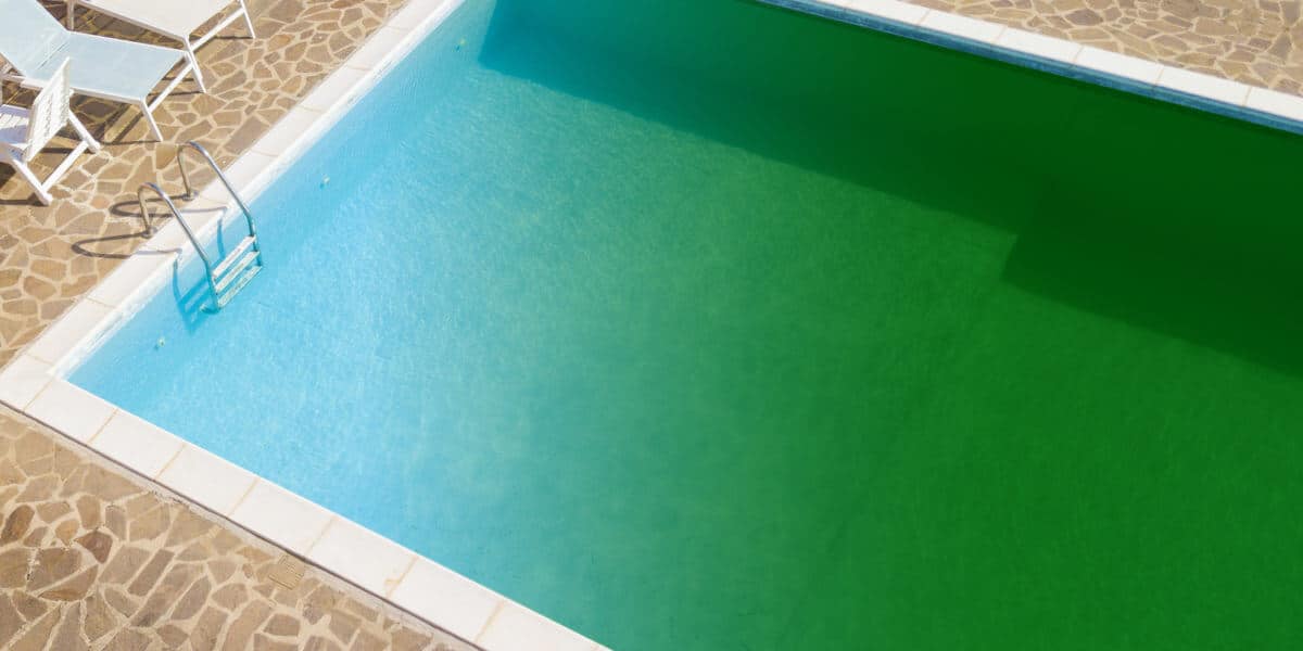 Green Pool Fix If my Pool is Green, What Do I Do? Hyclor