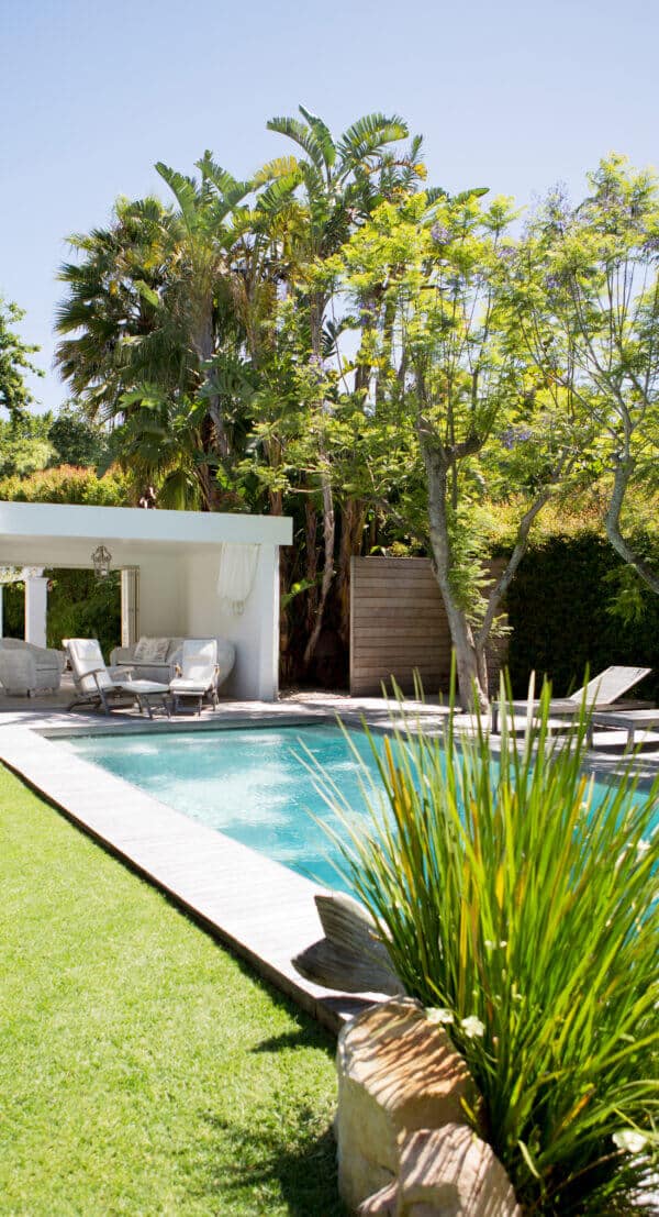 How To Put Chemicals In Pool for the First Time Hyclor